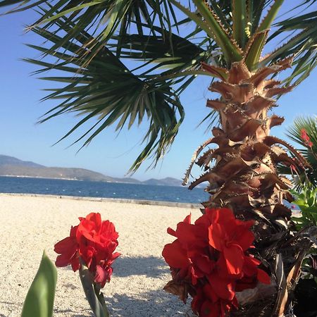 Royal King And Queen Apartment For Luxury Life Saranda Extérieur photo